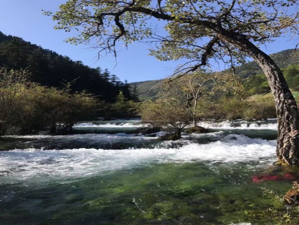九寨溝