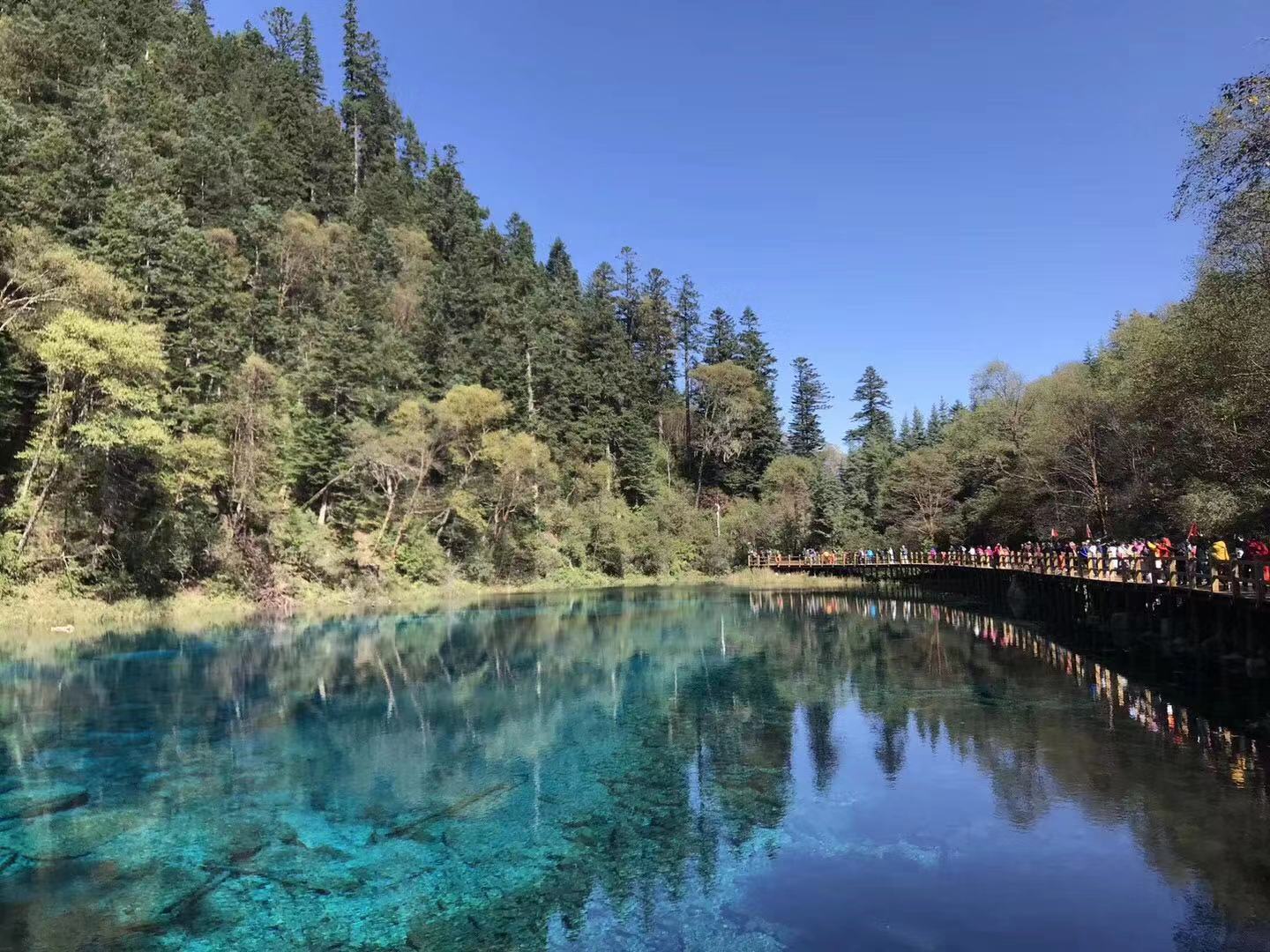 去九寨溝旅游要多少錢 成都到九寨溝旅游報價