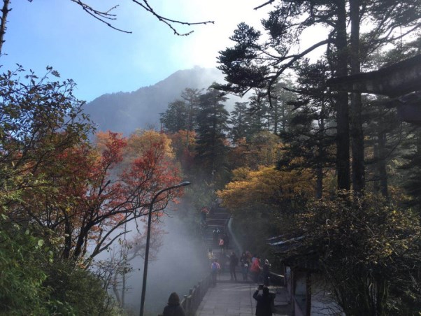 萬年寺