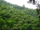 【成都出發】蜀南竹海二天一晚 - 參團游＜雙汽＞