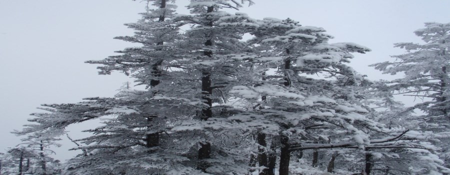 西嶺雪山