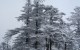 西嶺雪山