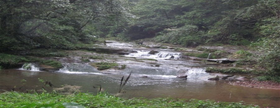 碧峰峽旅游