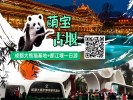 【熊貓基地都江堰一日游】都江堰+成都熊貓繁育基地 特色美食一日游