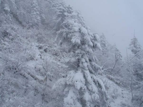 劉宇-20141107-09.jpg