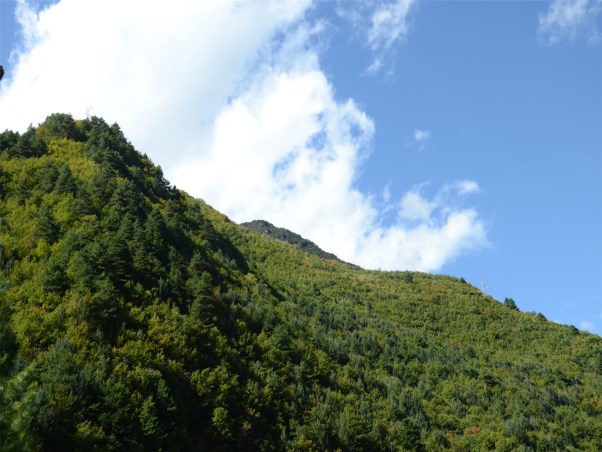 天臺山
