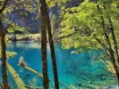 【九寨溝四日游】九寨溝-黃龍-都江堰-四姑娘山/達古冰川 純玩四日游＜2-6人小團＞
