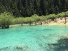 【多套餐：九寨溝黃龍三日游】九寨溝黃龍若爾蓋鐮刀壩大草原甘海子純玩三日游