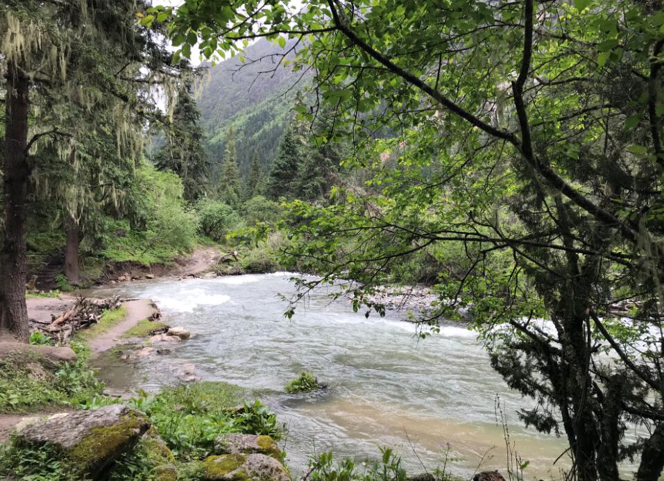 放假到天臺山避暑，兩日清涼